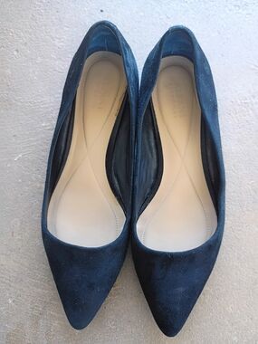 Alfani Black Pointed Suede Flats